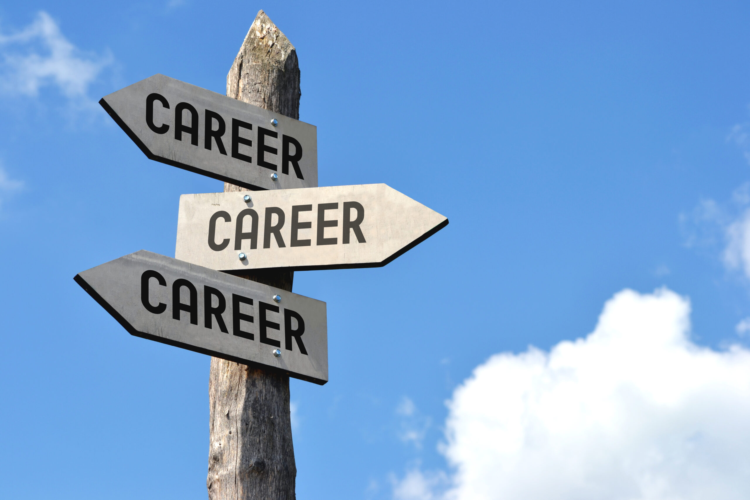 career path